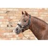 Cameo Equine Fieldsafe Headcollar Pony Red/Reflective