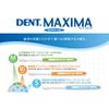 Dent no-dent Maxima Pack of 1 Single item
