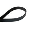 Continental 4070672F 7 Ribs 67.20" Multi-V Belt