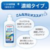 Pigeon Bottle Wash, Concentrated Type, 10.1 fl oz (300 ml)