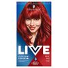 Live XXL 35 Real RED 1