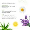 Honeybee Gardens Soothe & Refresh Herbal Aftershave with Aloe & Witch Hazel for Men - Key Lime - A refreshing burst of lime essential oil | Gluten-Free, Vegan, Cruelty-Free, 4 Fl Oz