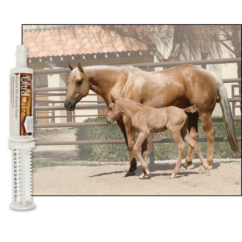 UltraCruz Equine Bio-Absorb Supplement for Horses, 60 ml, Paste (1/2 Day Supply)