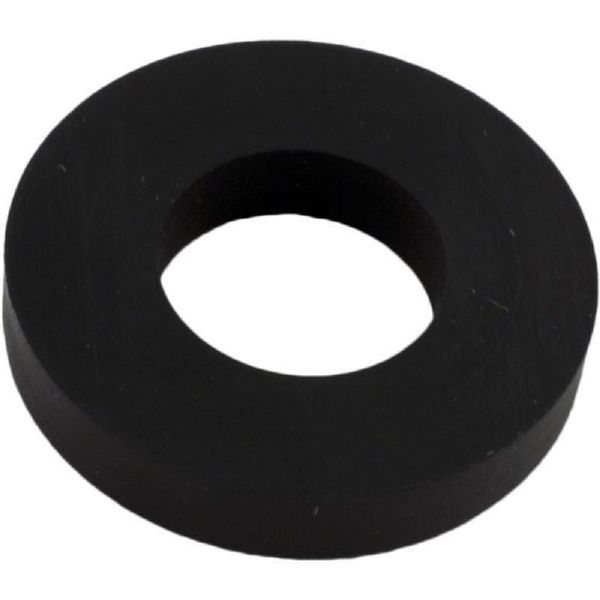 Pentair R172033 Gasket