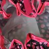 AllyDrew Stylish Satin Shower Cap - Hearts & Rose