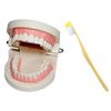 CMY Select Toothbrush Set 180° Opening and Closing Toothbrush Set