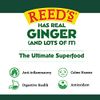 Reed's Zero Sugar Real Ginger Ale, All-Natural Classic Ginger Ale Made with Real Ginger (24- 12oz cans)
