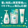 Benefits Skin Clean Foam Shampoo, Main Unit [Quasi-Drug]