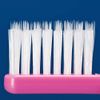 Ci Medical Ci Basic Ultra Taper + Round Bristles Medium Regular 5 Colors Assorted 20pcs Toothbrush