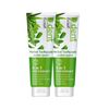 6x D.Dent herbal toothpaste Peppermint Formula fluoride suppress bad breath 100g