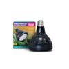 Arcadia Ajds40 Jungle Dawn Lamp Spot 40 Watt