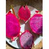 Grape flavor Sweet Dragon Fruit cutting - Variety Britt