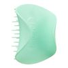 Tangle Teaser The Scalp Care Whisper Mint