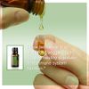 doTERRA - Cilantro Essential Oil - 15 mL