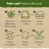 Signature Packaging - Disposable Palm Leaf Plates - Sturdy, Medium Square Plates - 15cm, 25 Pack