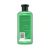 Herbal Essence Conditioner Biolino Aloe & Bamboo 14.1 oz (400 g)