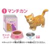 ania ania friends cat