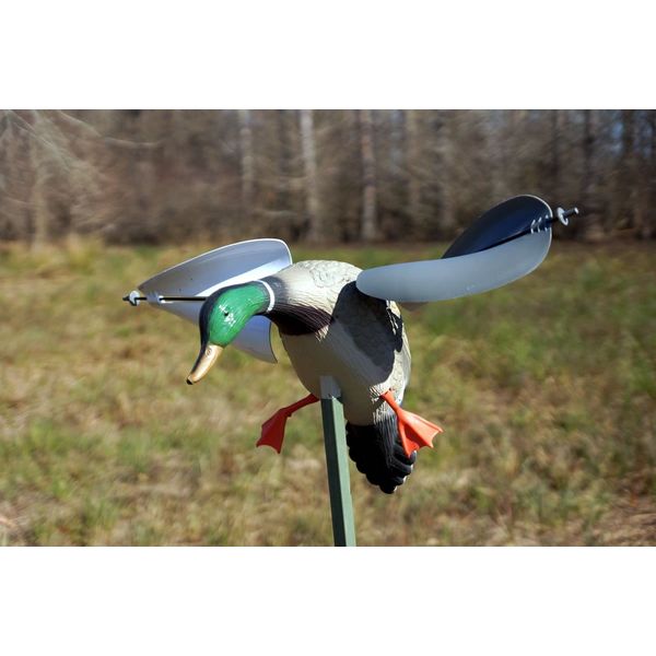 MOJO Outdoors Wind Duck Decoy