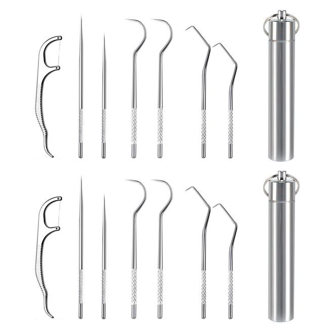 14 Pcs Zahnstocher Set aus Edelstahl, Tragbarer Titan Zahnstocher Zahnstocher Wiederverwendbaren, Inhaber Wasserdicht Zahnstocher aus Metall Zahnfleckentferner zahnärztliches Werkzeug