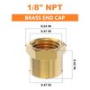 GASHER 1/8"NPT Brass Pipe Cap, NPT Female Thread Socket Pipe End Cap Plugs Fitting 5PCS