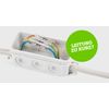 WAGO PUSH WIRE® Inline Splicing Connector for solid and stranded conductors max. 4 mm² transparent (Pack of 100)