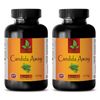 body detox - CANDIDA AWAY COMPLEX - anti parasite - 2 Bottles