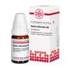 Salvia officinalis D6 DHU Globuli, 10 g GLO