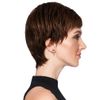 HAIRDO Textured Cut Wig Chestnut R10