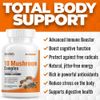 ZenPath Nutrition 10 Mushroom Complex -- 60 Vegetarian Capsules