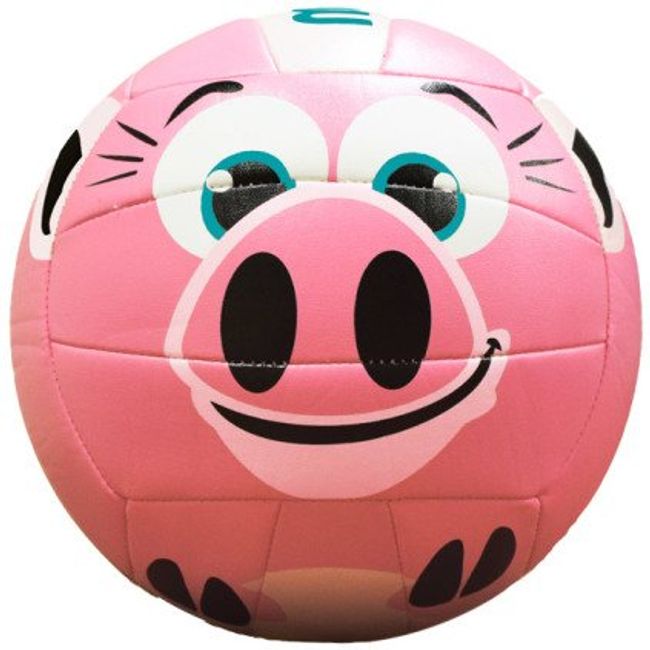 Molten MS500 pig Pig Volleyball -