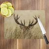Brown Stag Grass Yellow Glass Chopping Board Kitchen Worktop Saver Protector