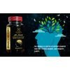 MIND MATRIX - Brain Booster for Focus, Energy, Clarity, support Energy & Better