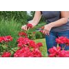 Craftsman 3/4-in. Manual Cut Bypass Pruner