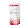 DHU Gnaphalium polycephalum D3 Dilution, 20 ml Lösung