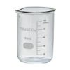 Glass Beaker 100ml GB100