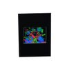 TIME Intermediate Size Hologram Picture MATTED, 3D Embossed Type 5"x7"