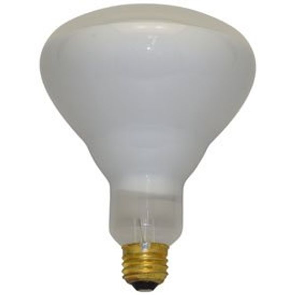 Replacement for GE General Electric G.E 65BR40/FL/PROLINE 130V by Technical Precision