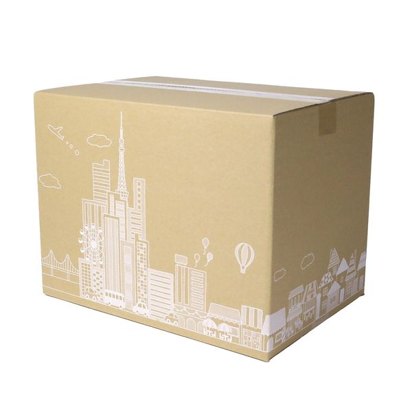 Earth Cardboard, Cardboard, 100 Size, Set of 60, Design Cardboard Box, 100 B4 ID0363