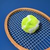 Furry Tennis Ball Keychain - Green