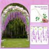 Wisteria Hanging Flowers,Hangin