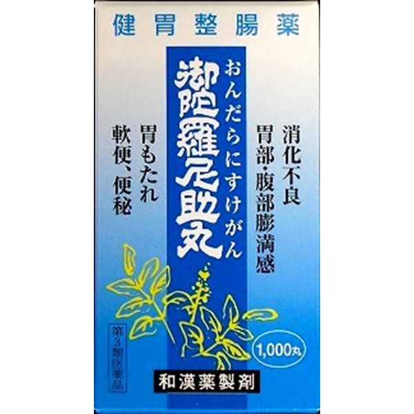 【第3類医薬品】御陀羅尼助丸 1000丸
