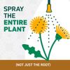 Spruce Weed Killer Spray - Snap & Spray Weed & Grass Killer₂ Powered Starter Kit