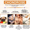Glucosamine Chondroitin MSM for Dogs, Hip and Joint Support