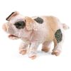 Folkmanis Grunting Pig Hand Puppet, Standard Packaging, Pink
