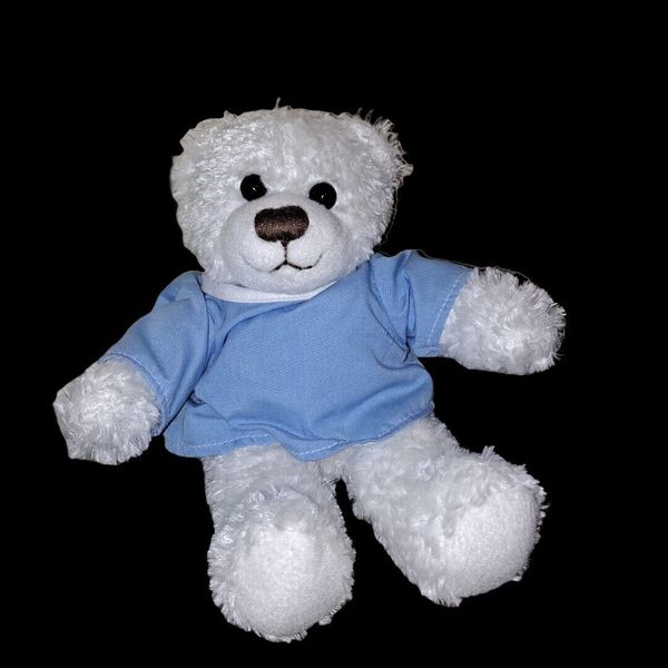 Princess Soft Toys 7" Seated Teddy Bear Scrub Top Vintage 2005 Animal Plush