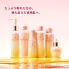 Yamada Apiary Honey Lab Makeup Remover (Cleansing Liquid) <120mL>