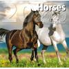 2026 Horses Full Size Wall Calendar for Planning, Scheduling, and Organizing