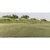 Woodland Scenics Static Grass 2mm -Dark Green -FS613
