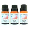 Cotton Candy (Made in USA) 3 Bottles 1/2 FL Oz Each (15ml) Premium Grade Scented Fragrance Oil