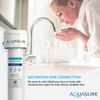 Fortitude Compact Under Sink Replacement Water Filter w/ Carbon, KDF & Siliphos